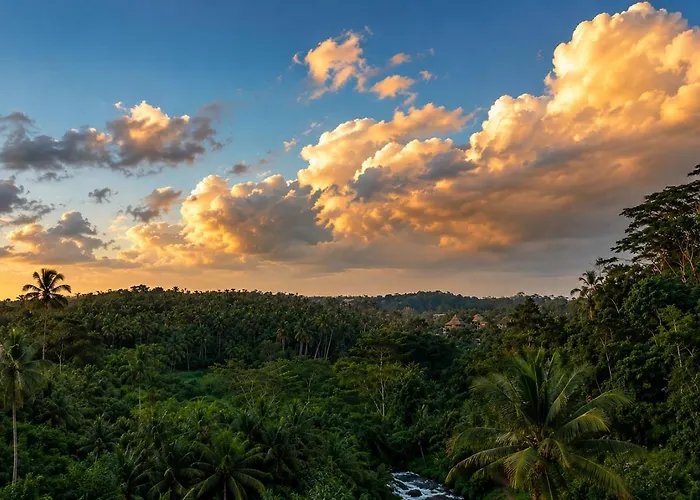 Yoga Retreat 9 Bedroom By River Song Hotel Ubud